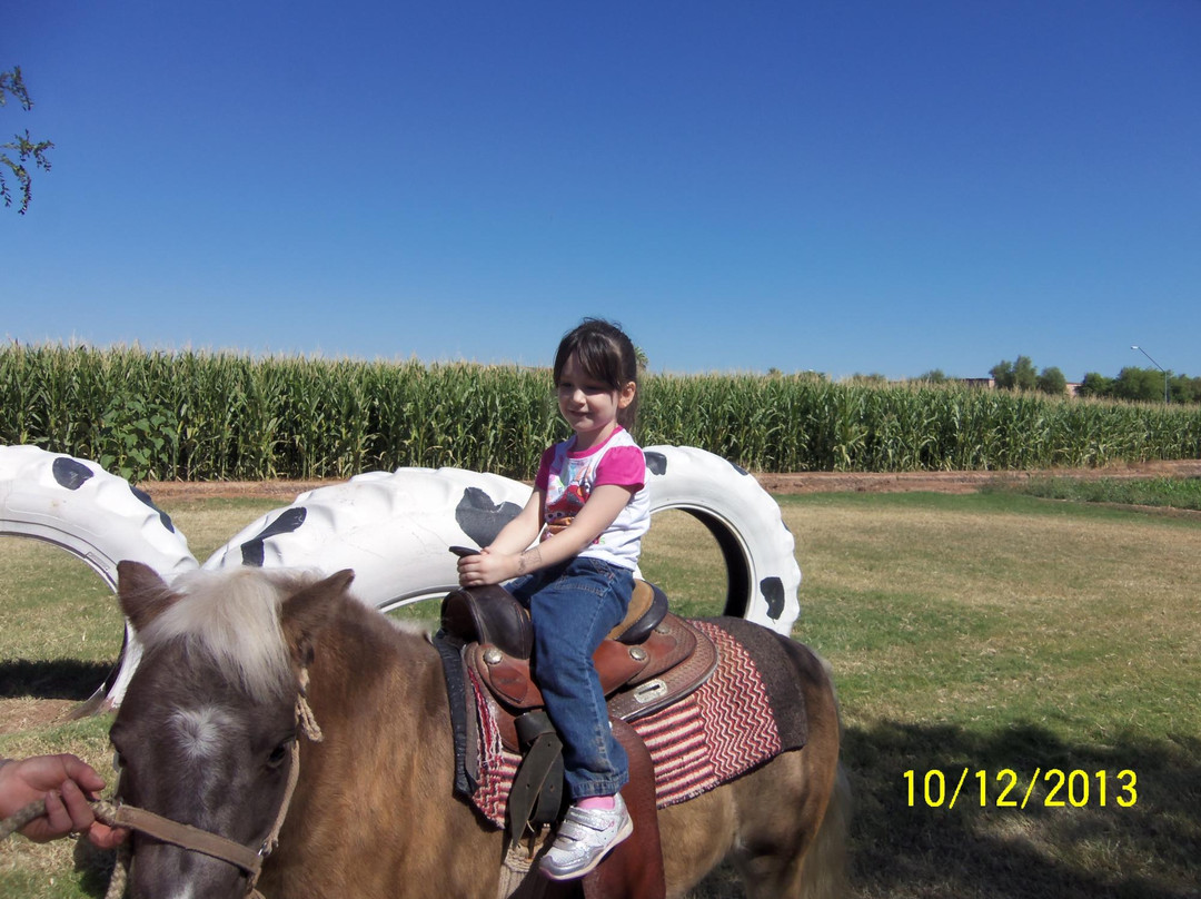 Tolmachoff Farms-格兰岱尔必去景点