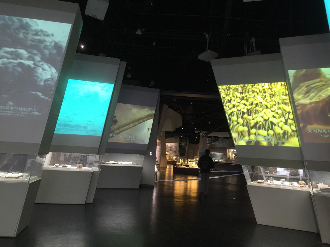 南京人化石地点-南京市必去景点