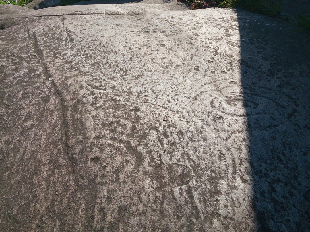 Petroglifo-比戈必去景点