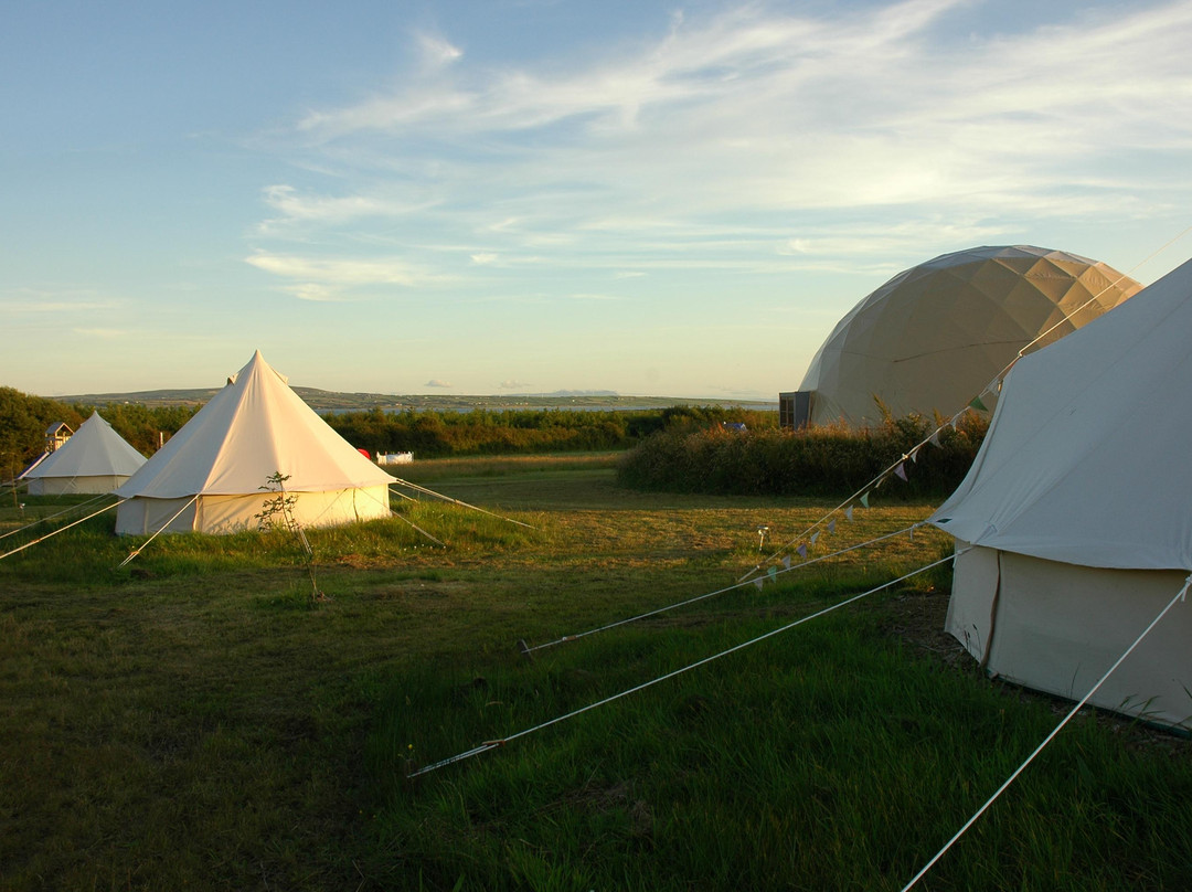 Purecamping