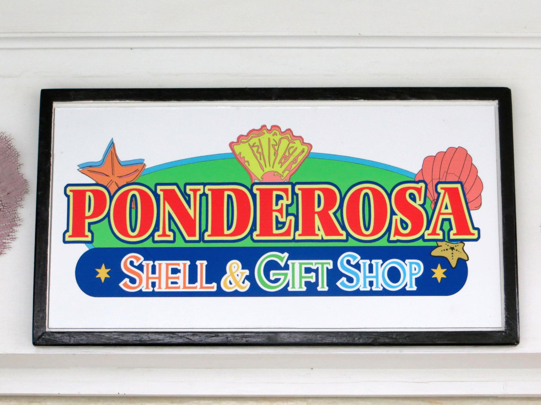 Ponderosa Shell & Gift Shop-Spanish Wells必去景点