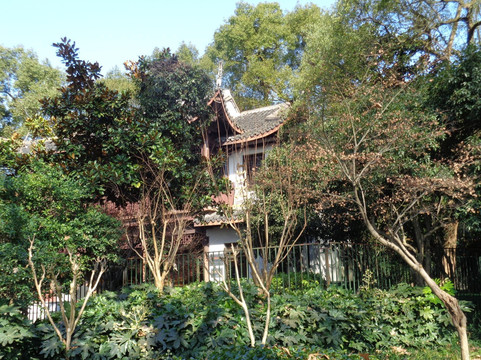 曲园-苏州市必去景点