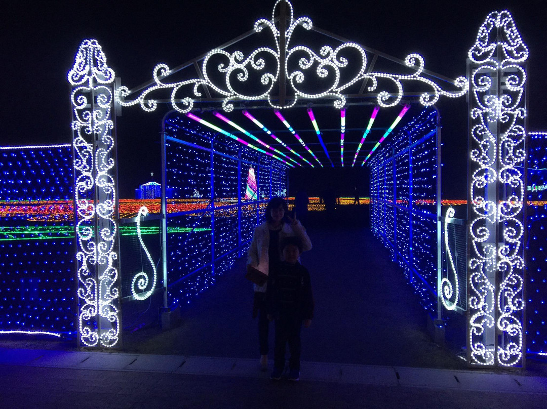 Ota Illumination-太田市必去景点