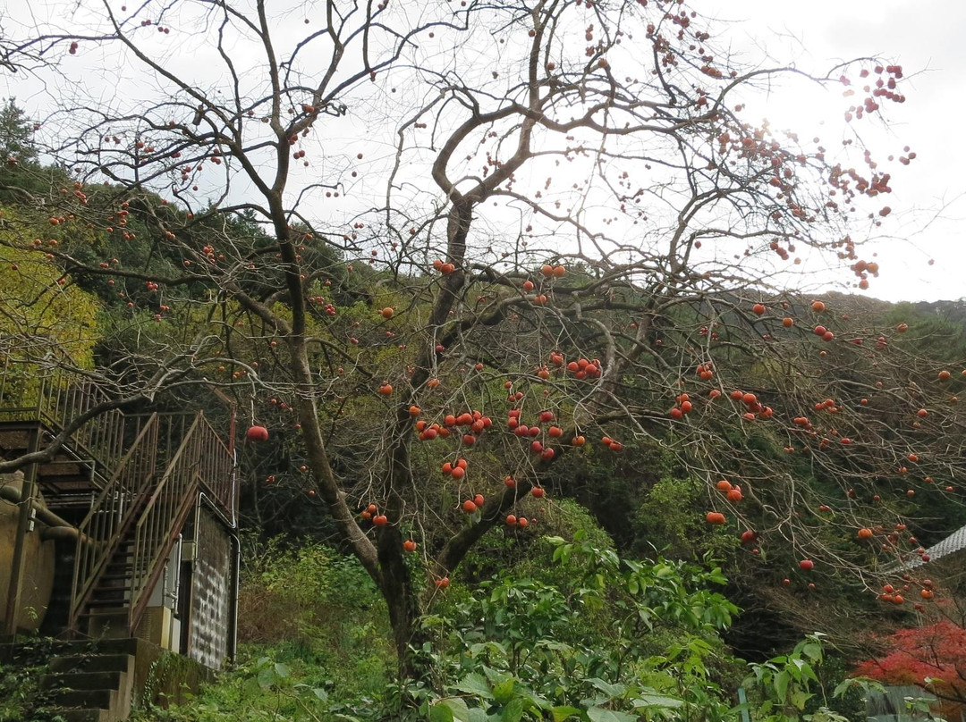 Ryumonkyo景点图片
