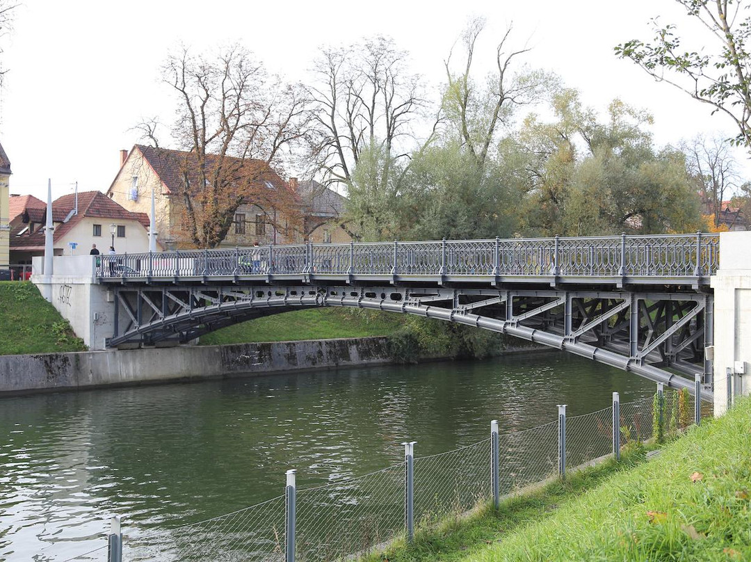 Hradecky Bridge-卢布尔雅那必去景点