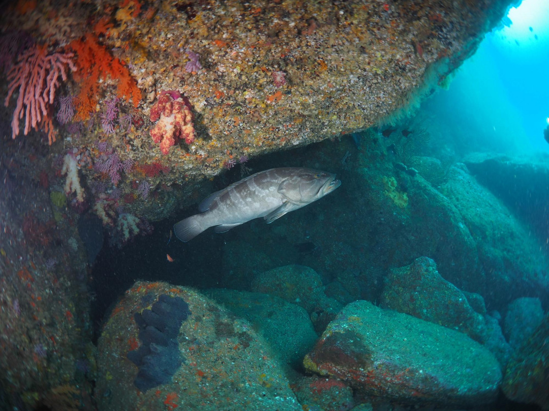 Ushitsukiiwa-松崎町必去景点