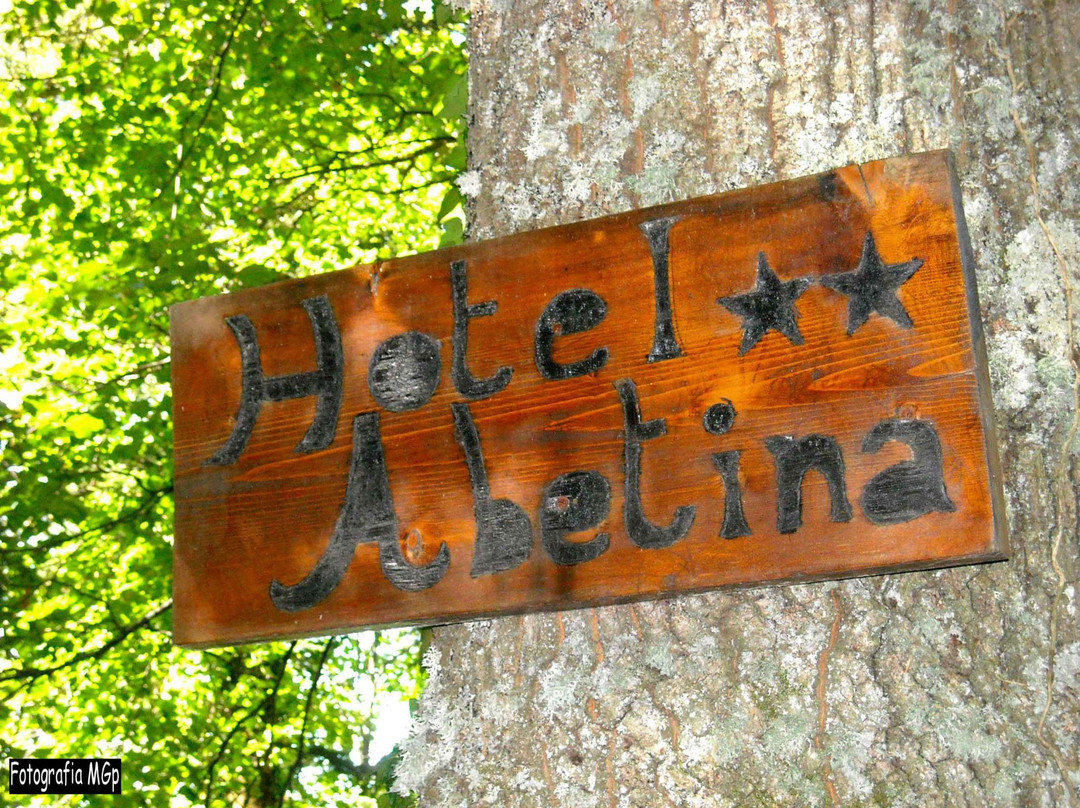 Hotel Abetina主图