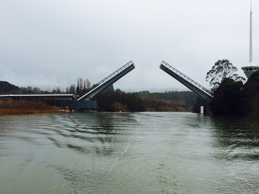 Transporte Fluvial Sustentable-瓦尔迪维亚必去景点