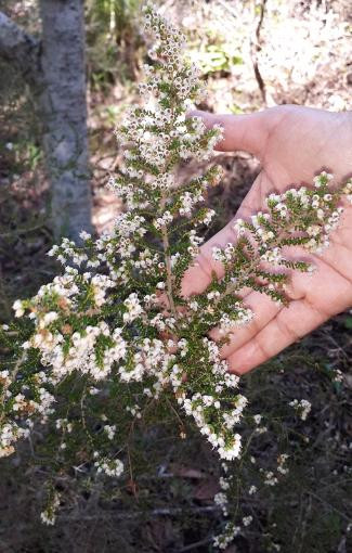 Pledge Nature Reserve-克尼斯纳必去景点