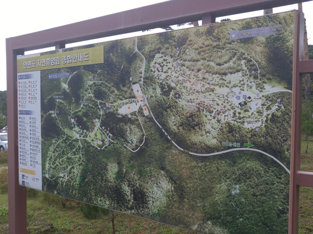 Anmyeondo Island Recreational Forest-泰安郡必去景点