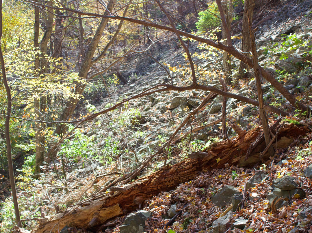 Doyles River Falls景点图片