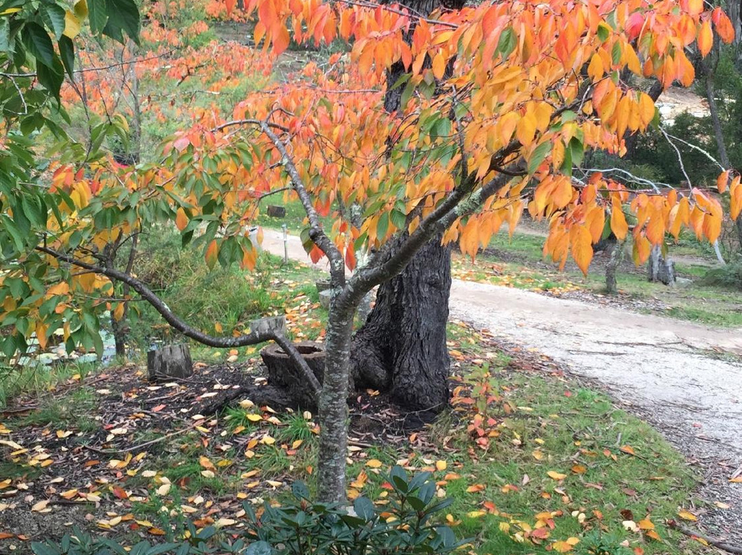 Vipassana Meditation Centre-布莱克希思必去景点