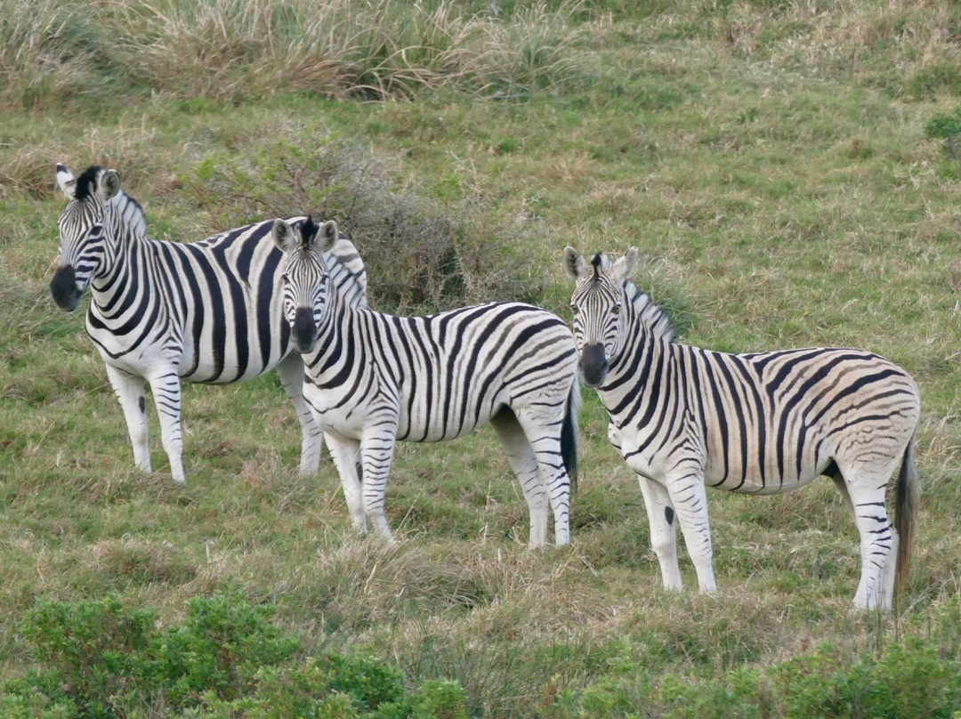 Hluleka Nature Reserve-姆莎莎必去景点