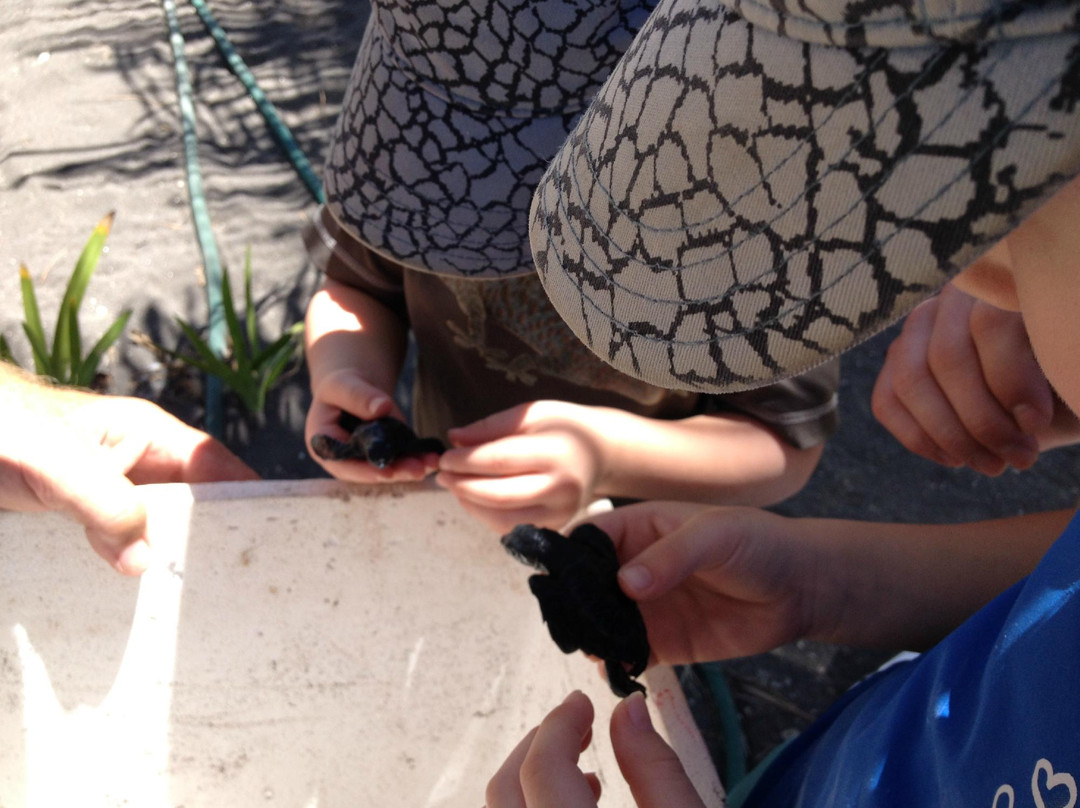 El Tortugugario-Cuyutlan必去景点