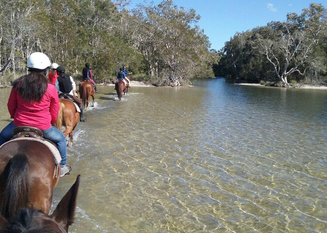 Noosa Horse Riding景点图片