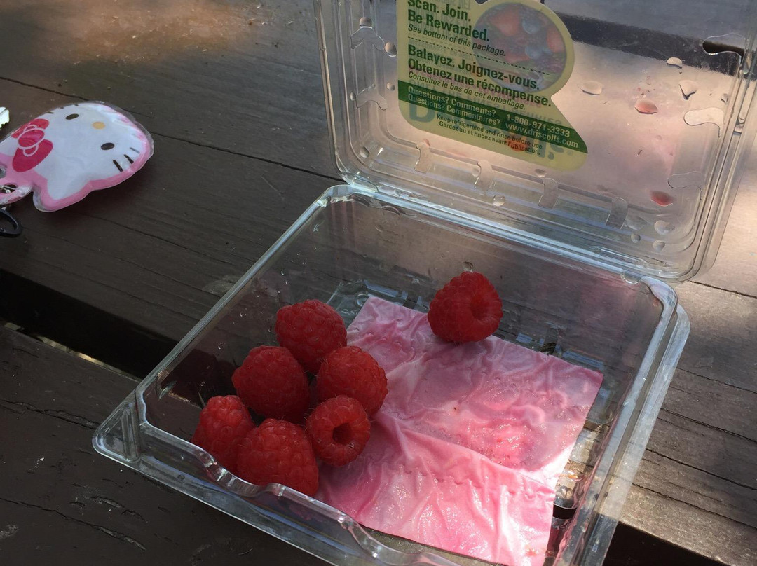自由公园景点图片