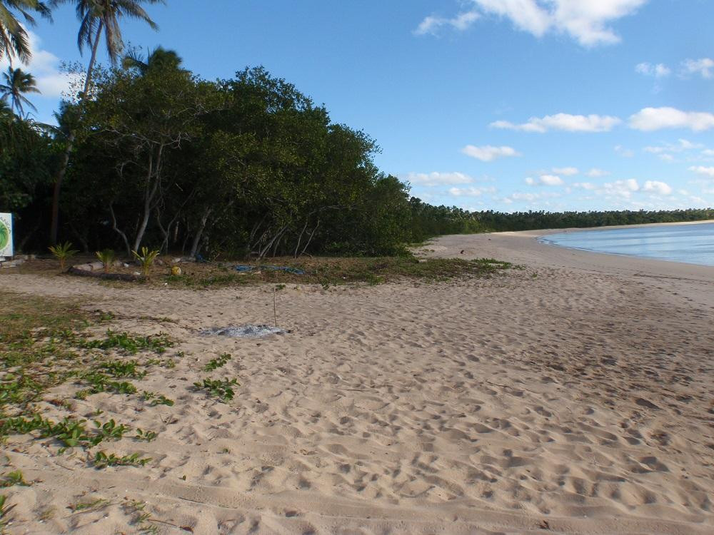 Talitali'anga Eco Resort主图