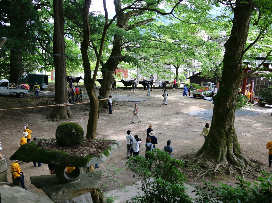 Mibu Shrine景点图片