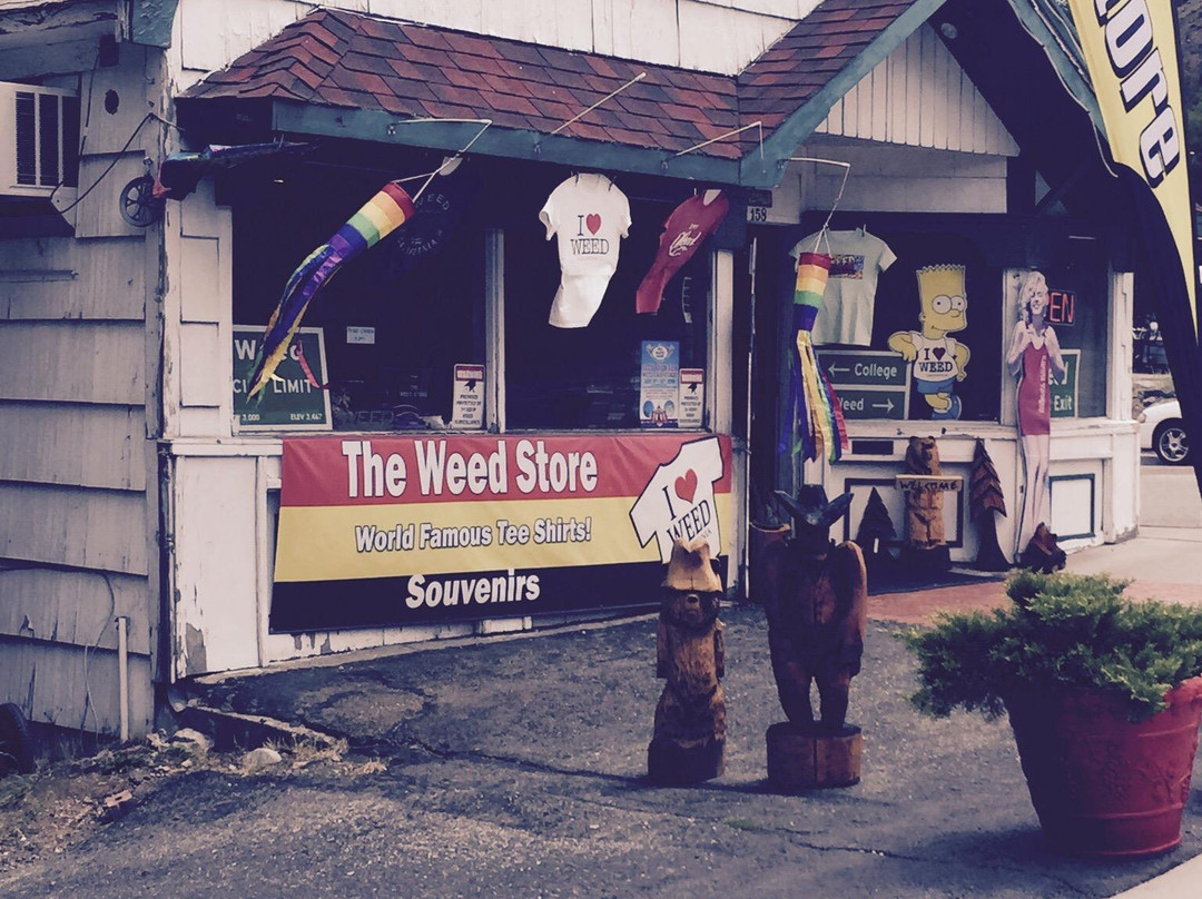 The Weed Store景点图片