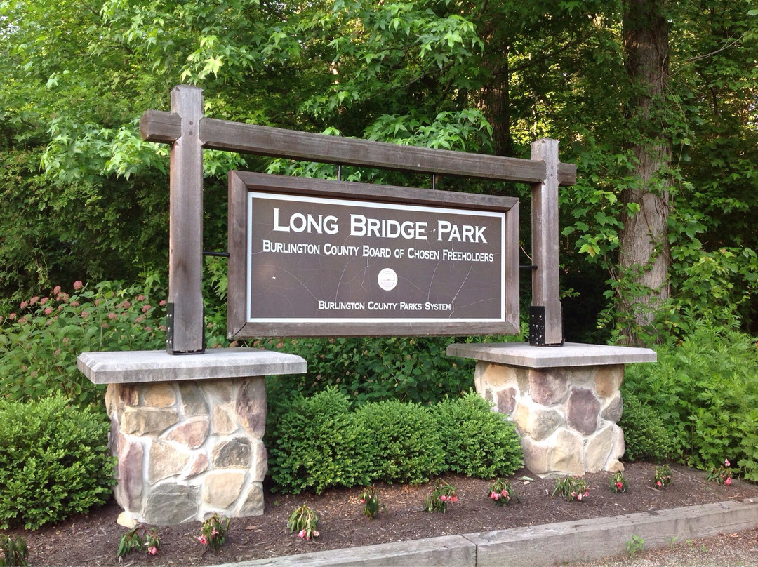 Long Bridge Park景点图片