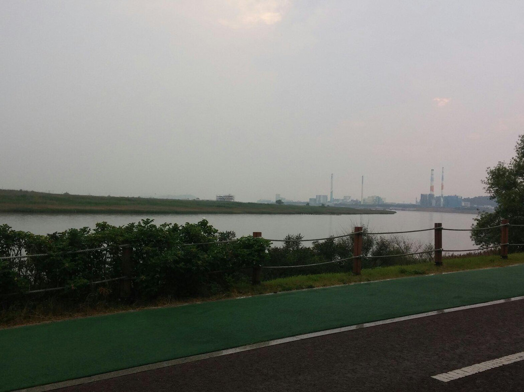 Ansan Reed Wetland-安山市必去景点