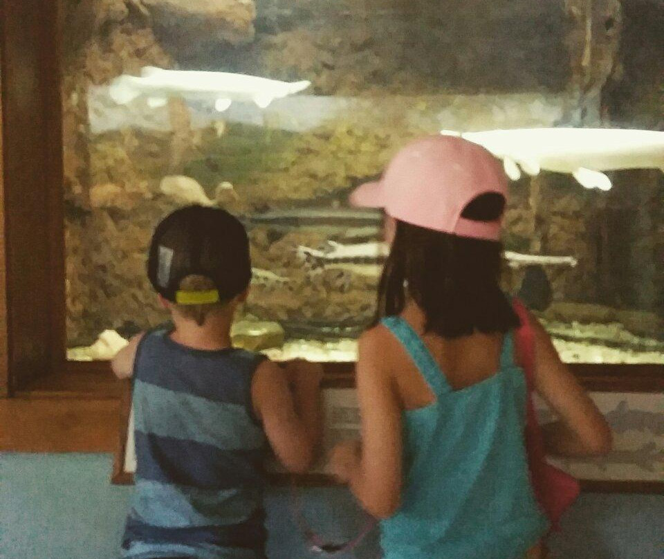 Warm Springs Regional Fisheries Center-Warm Springs必去景点