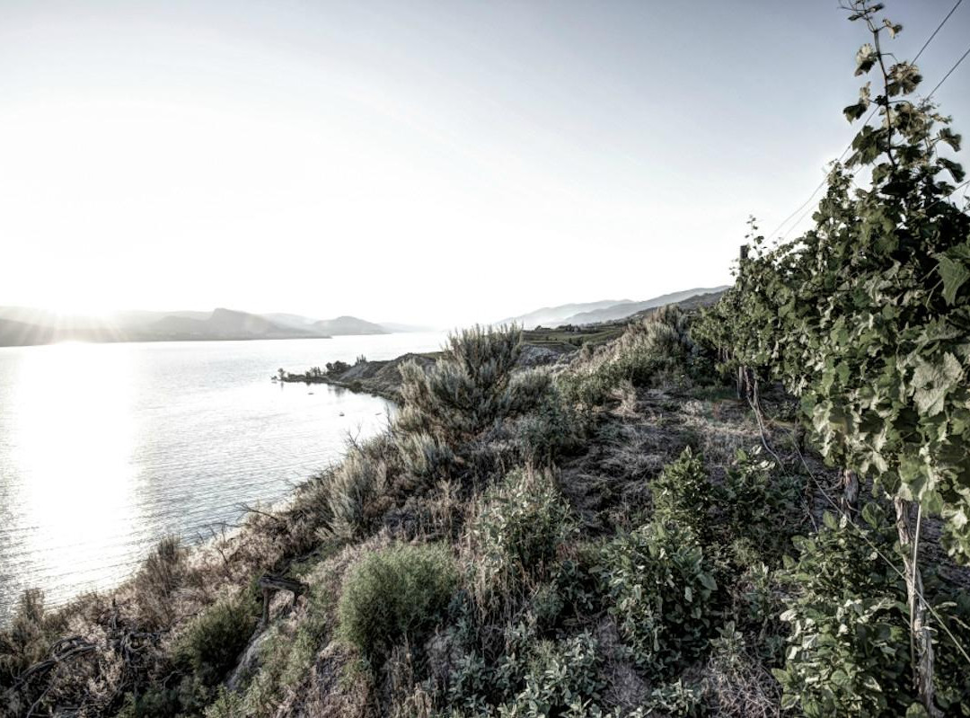 Lock & Worth Winery-彭蒂克顿必去景点