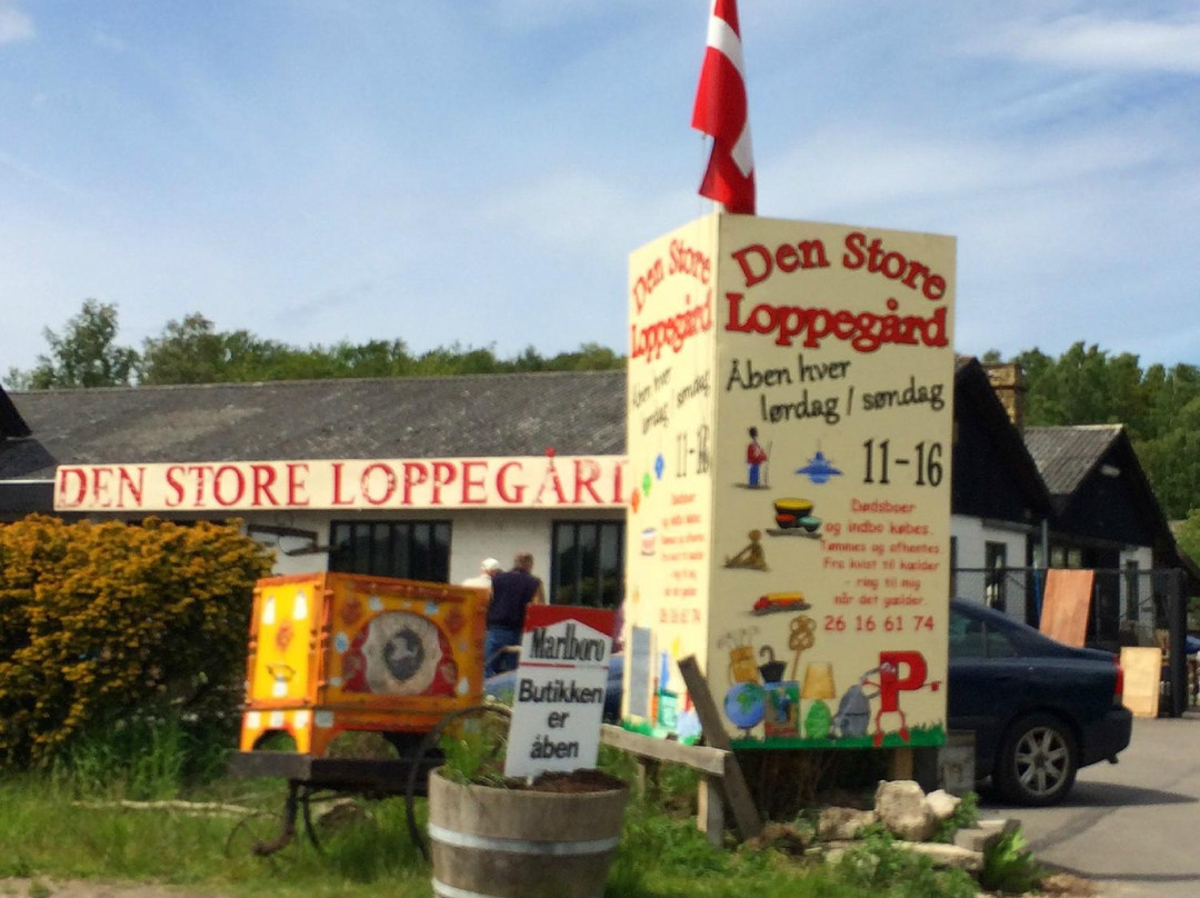 Den Store Loppegård景点图片