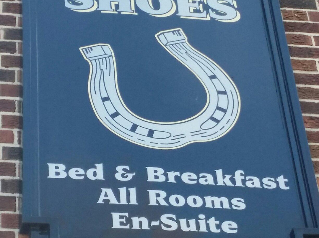 The Shoes主图