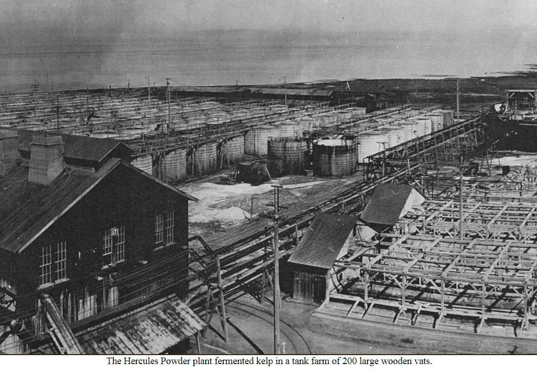 Gunpowder Point-丘拉维斯塔必去景点