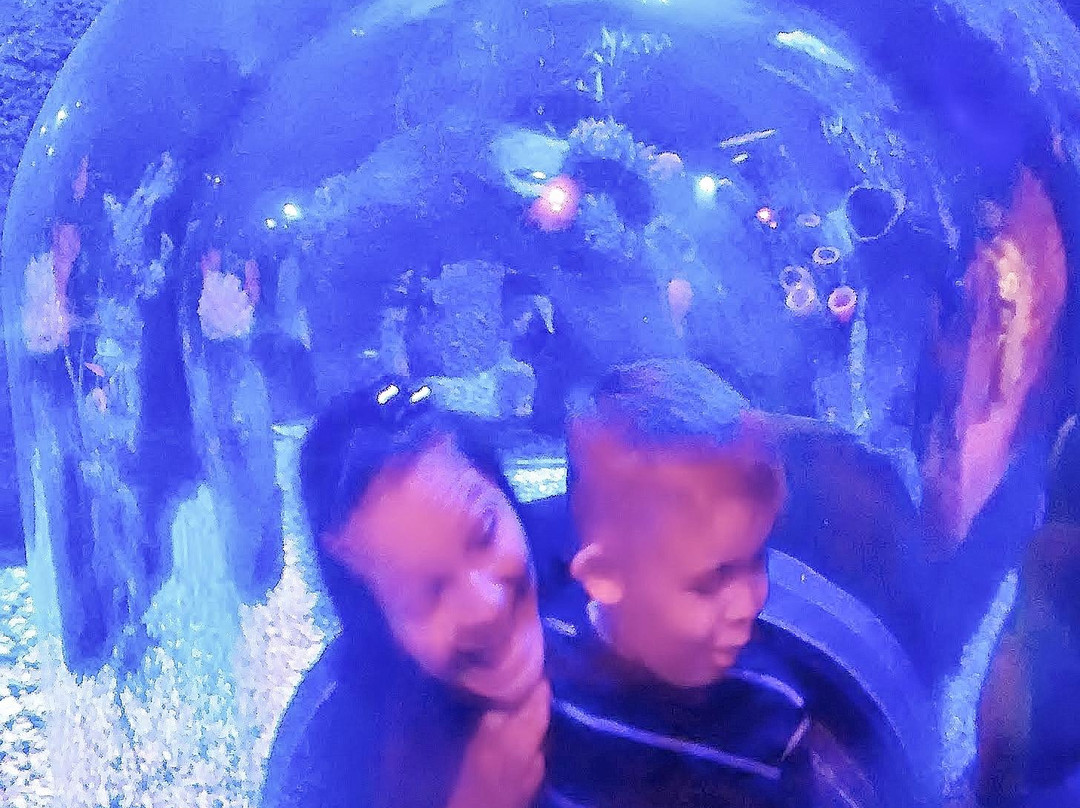 奥兰多海洋世界水族馆-奥兰多必去景点