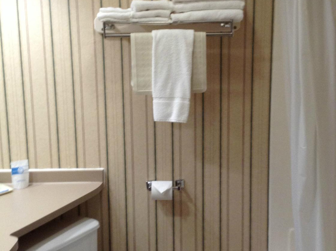 Dollinger's Motor Inn主图