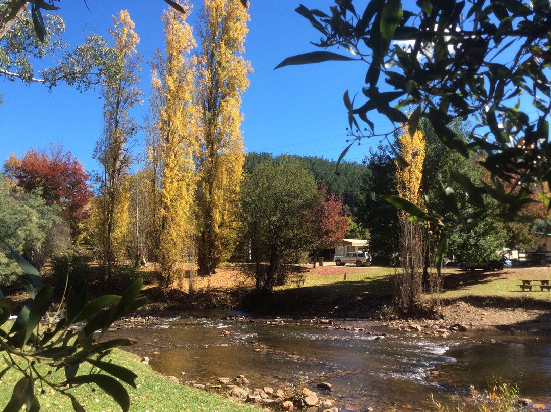 Bright Escapes - Bright Visitors Centre-布赖特必去景点