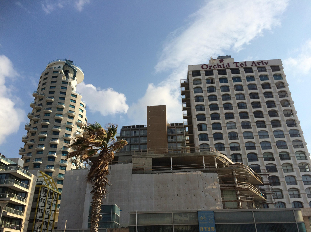 特拉维夫白城-特拉维夫必去景点