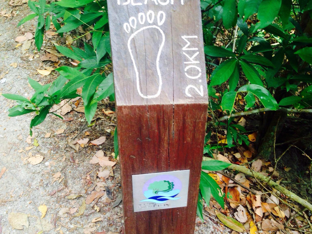 Pantai Monkey-槟城岛必去景点