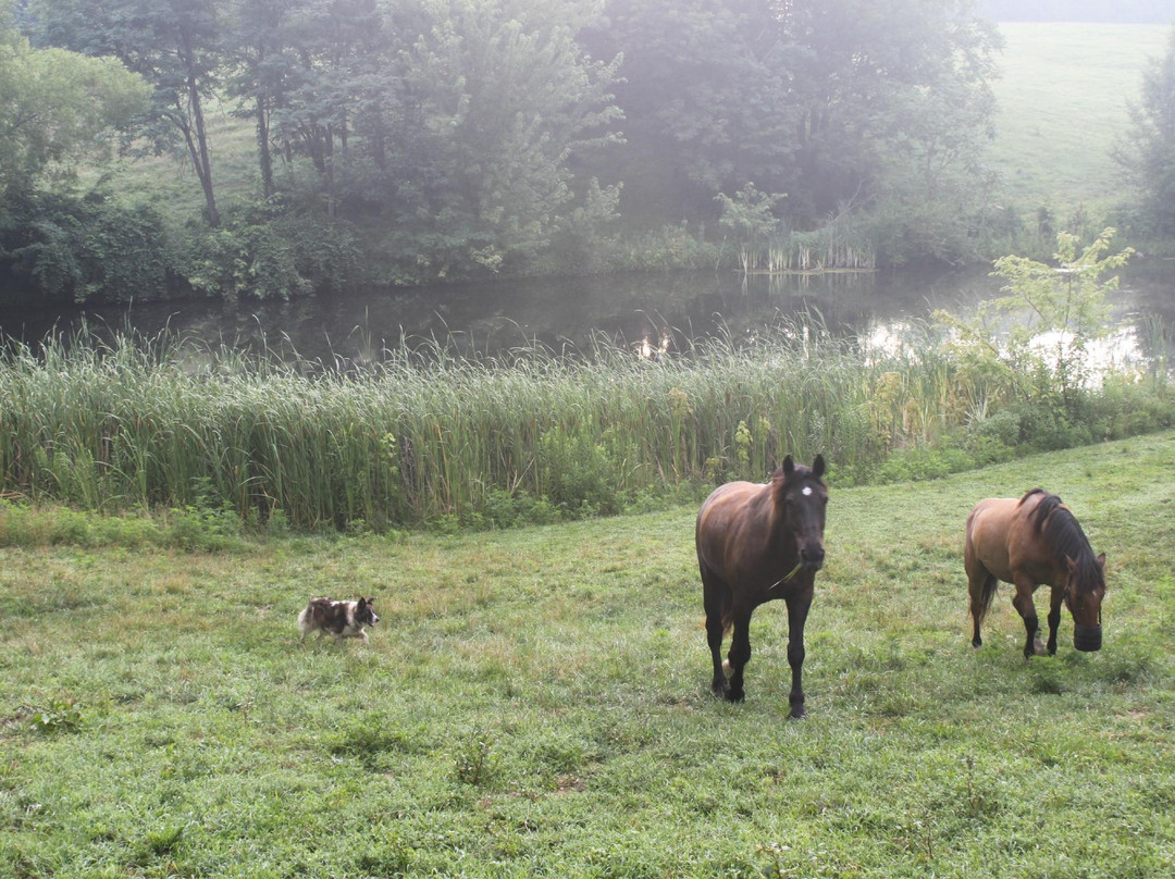 First Farm Inn Horseback Riding-Petersburg必去景点