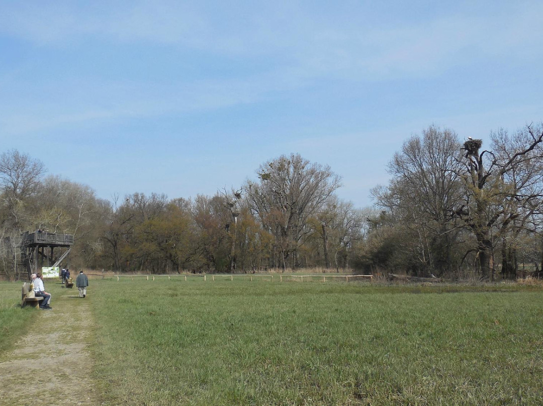 WWF Stork Sanctuary-Marchegg必去景点