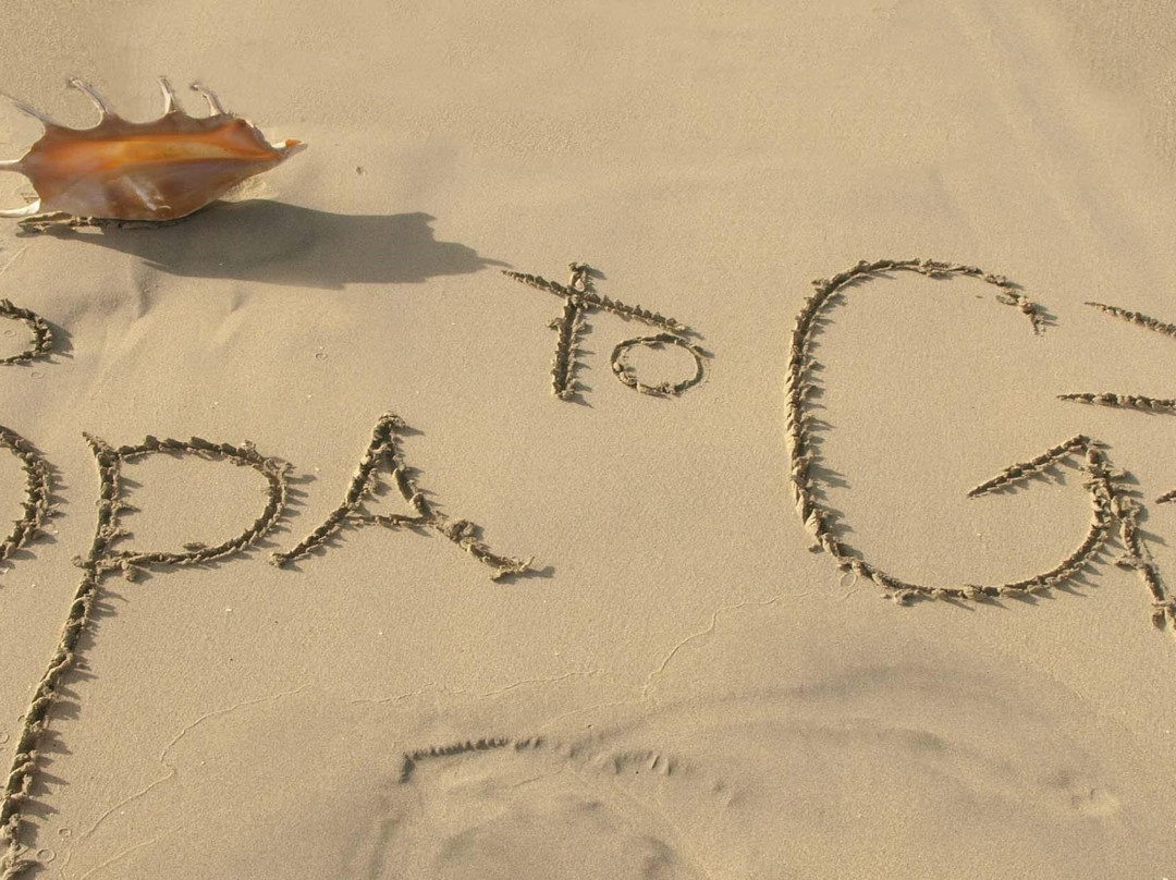 Spa To Go VI-夏洛特阿马利亚必去景点