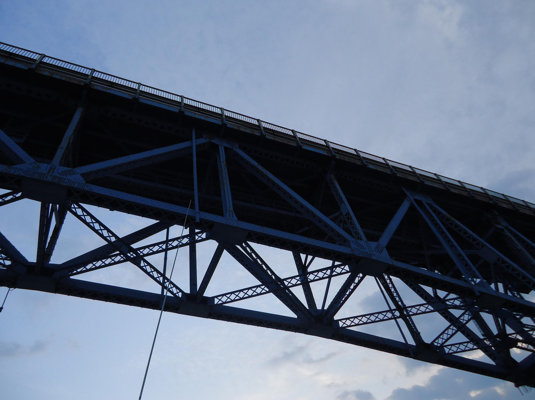 Grand Lady Cruises-水牛城必去景点