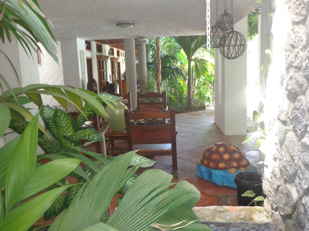 Hotel Boutique la Villa de San Bartolome主图