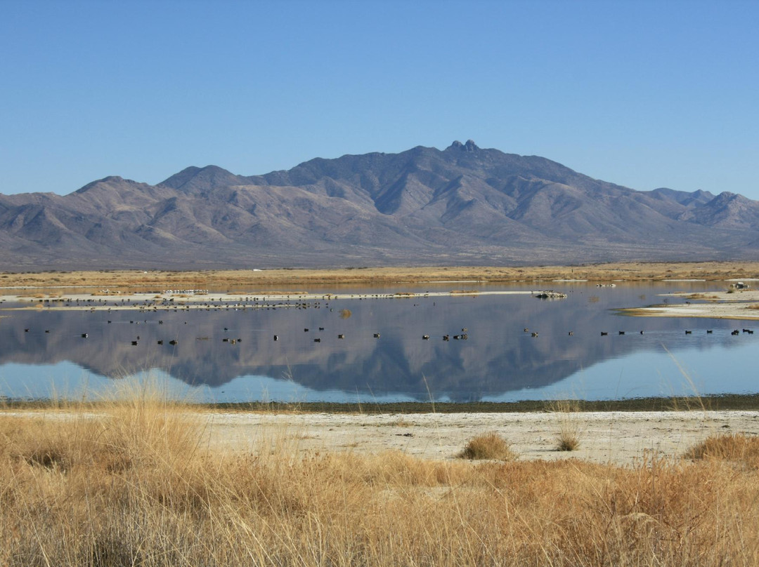 Cochise Lake-Willcox必去景点