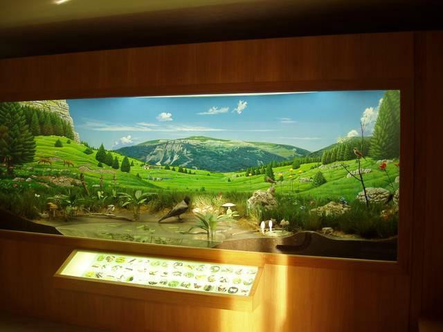 Museo Naturalistico Patrizio Rigoni景点图片