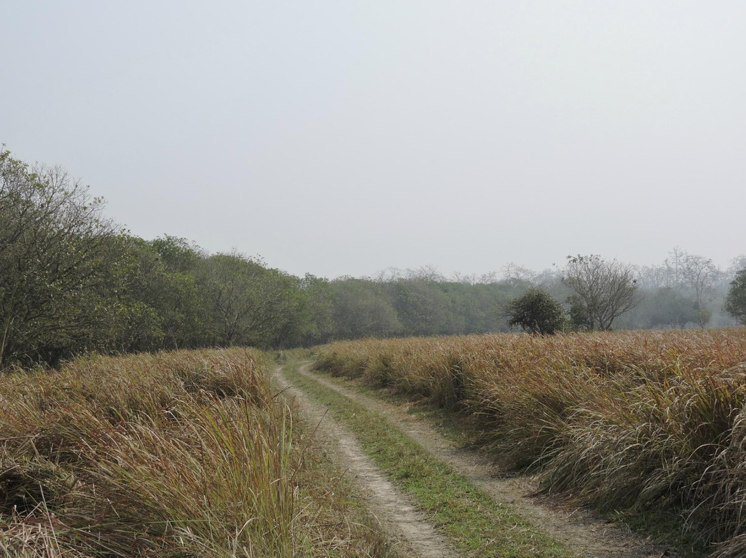 Bura-Chapori Wildlife Sanctuary景点图片