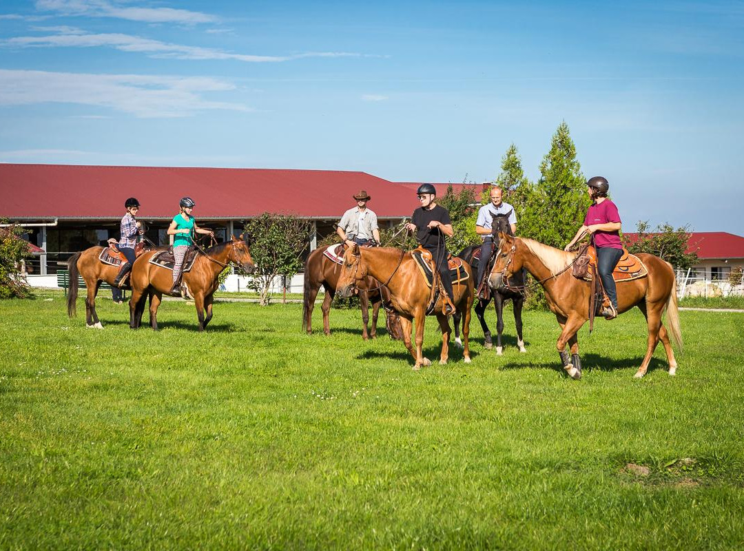 Golden View Ranch-Mörbisch必去景点