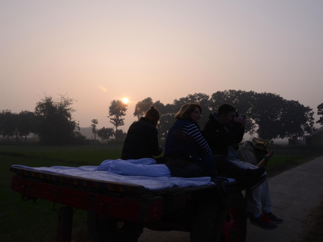 Vaanprastha Village Retreat景点图片
