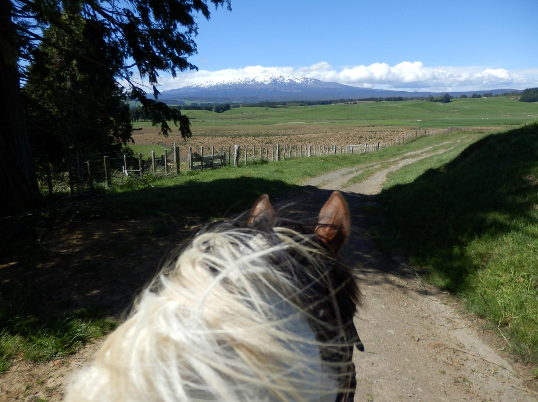 Ruapehu Homestead景点图片