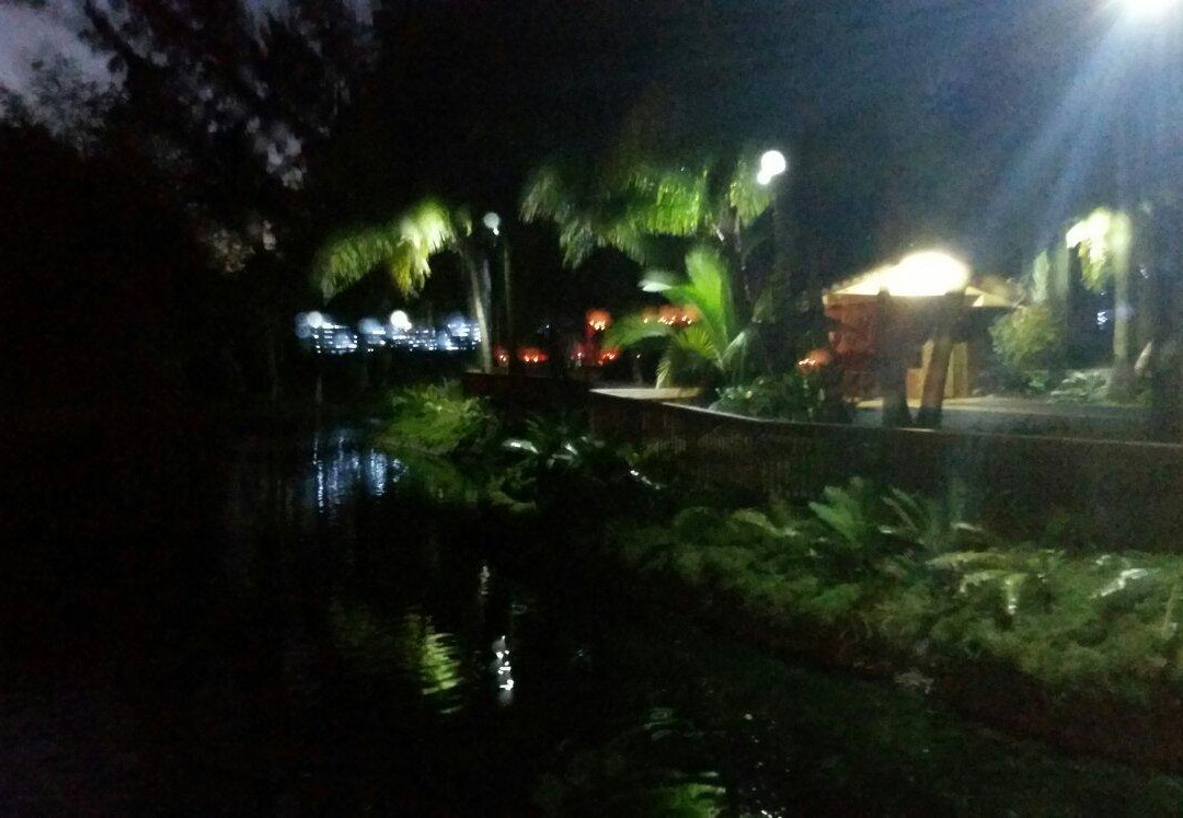 Pinto's Farm-迈阿密必去景点