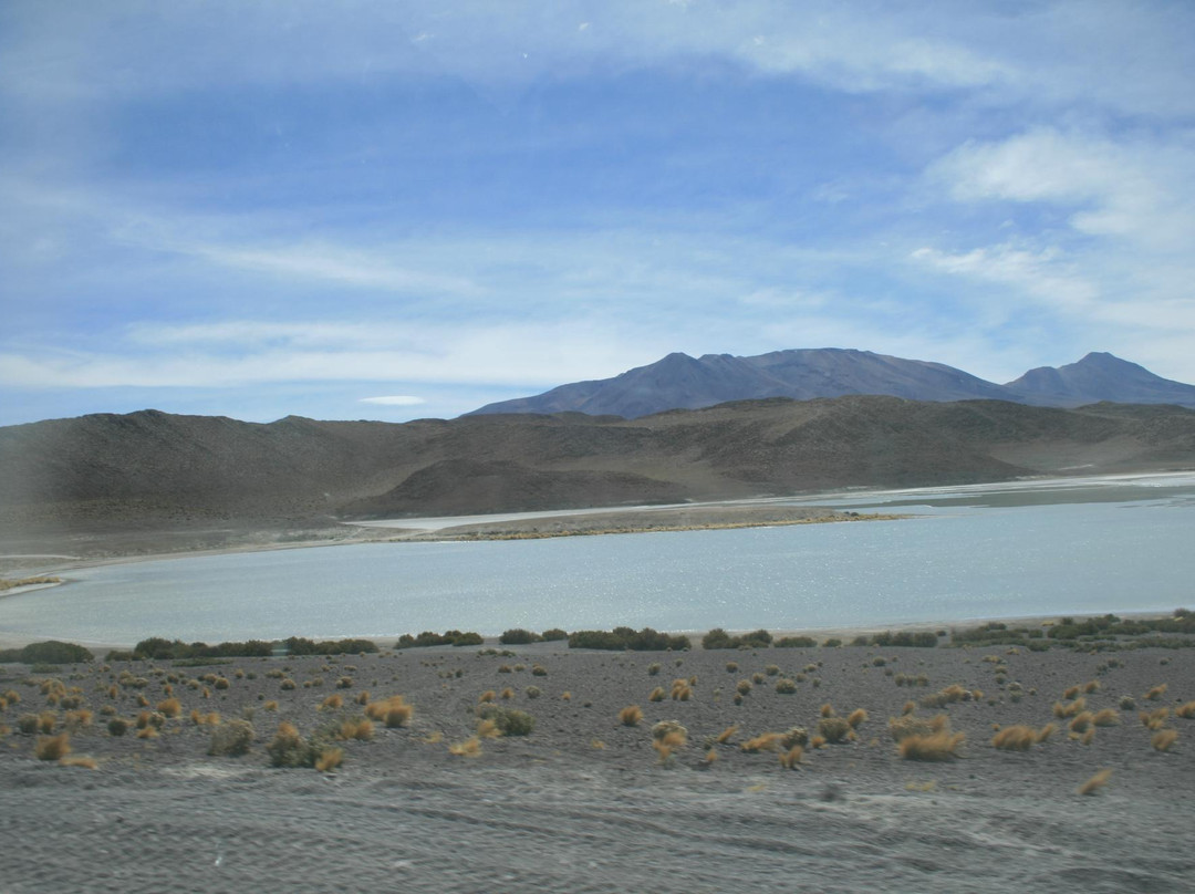 Laguna Hedionda景点图片