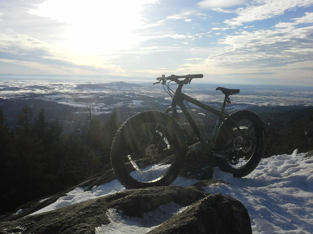 Paradise Creek Bicycles-莫斯科必去景点