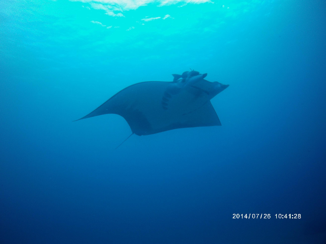 Sub-Tropic Adventures-Jamestown必去景点